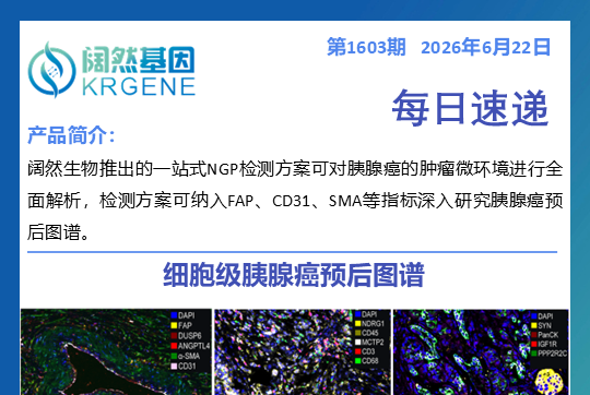 十大滚球体育app