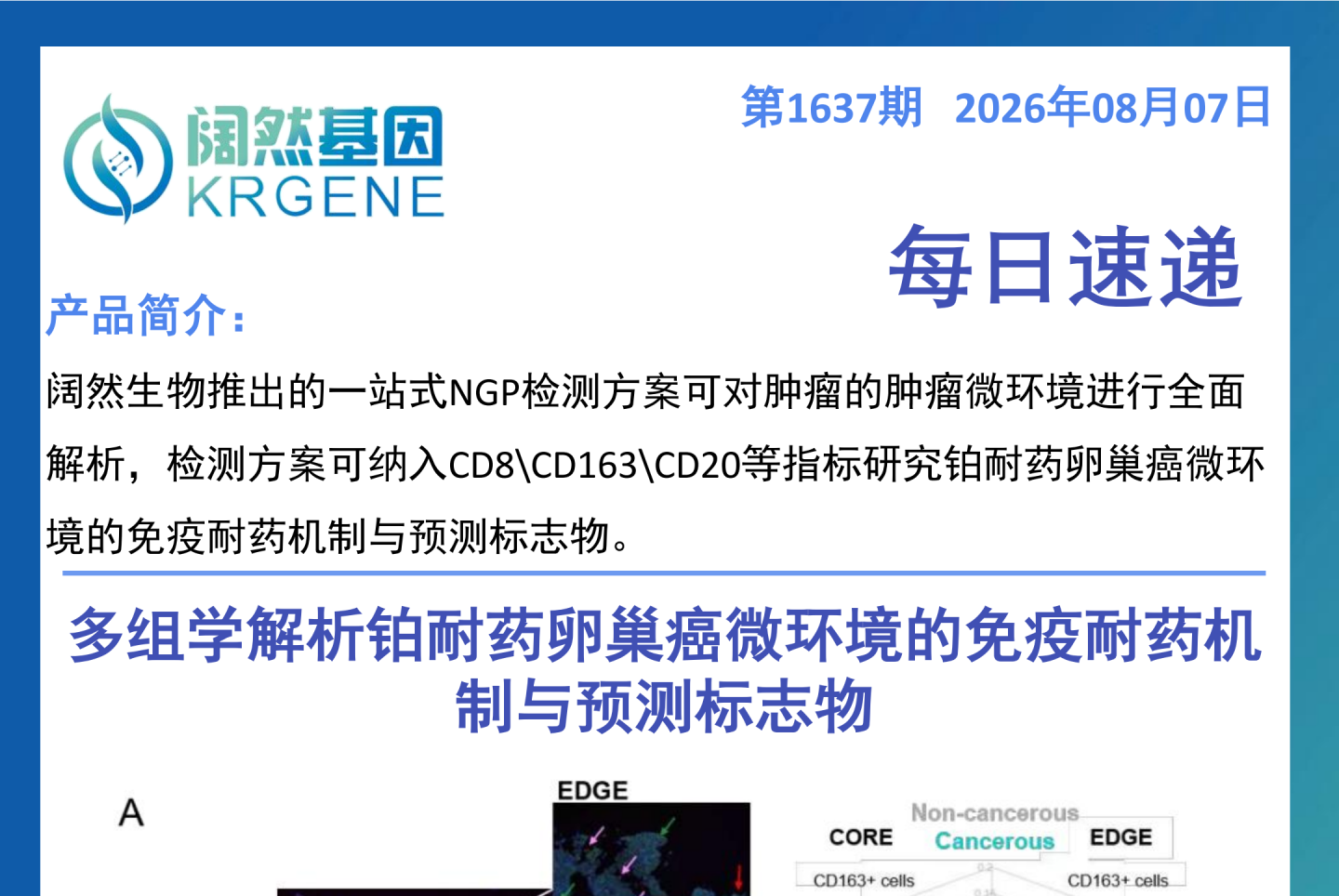 十大滚球体育app
